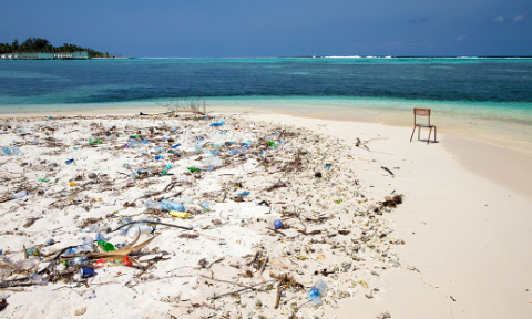生态环境部四部门联合发布《沿海城市海洋垃圾清理行动方案》