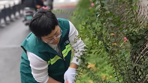 宇通環(huán)衛(wèi)高標準服務大國工匠盛會，扮靚鄭州城市容顏！